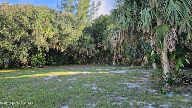 109 Fontaine St, Melbourne Beach, FL 32951 - view of yard