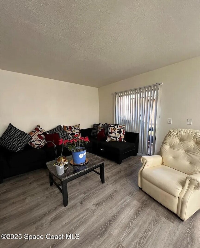 3717 Pinewood Dr NE Unit 12, Palm Bay, FL 32905 - living area featuring wood finished floors and a textured ceiling