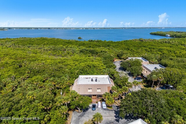6205 Treetop Dr, Melbourne Beach, FL 32951 - photo 35