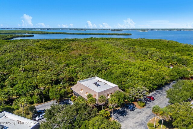 6205 Treetop Dr, Melbourne Beach, FL 32951 - photo 33