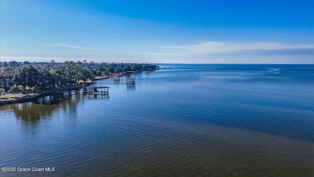 449 S Garcon Point Rd, Milton, FL 32583 - photo 98