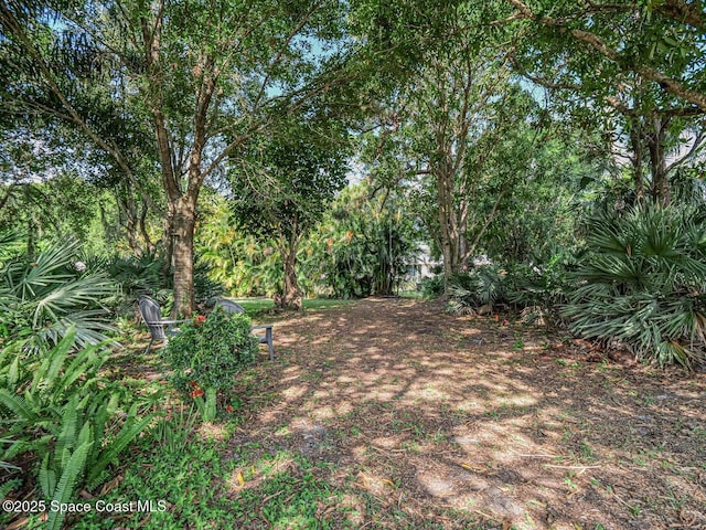 406 9th Ct, Vero Beach, FL 32962 - view of yard