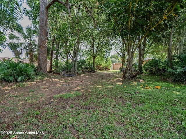406 9th Ct, Vero Beach, FL 32962 - view of yard featuring a shed