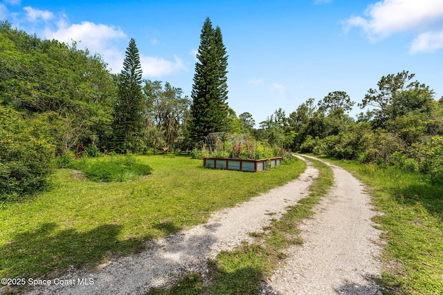 3565 Johns Rd, Mims, FL 32754 - photo 32