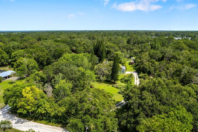 3565 Johns Rd, Mims, FL 32754 - photo 47
