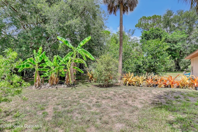 698 Awin Ct SE, Palm Bay, FL 32909 - photo 6
