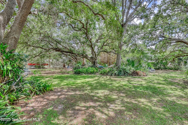 698 Awin Ct SE, Palm Bay, FL 32909 - photo 43