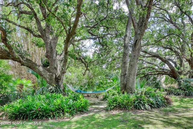 698 Awin Ct SE, Palm Bay, FL 32909 - photo 44
