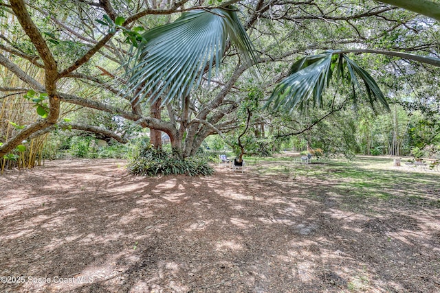 698 Awin Ct SE, Palm Bay, FL 32909 - photo 48