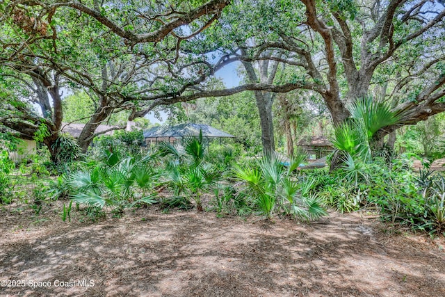 698 Awin Ct SE, Palm Bay, FL 32909 - photo 49