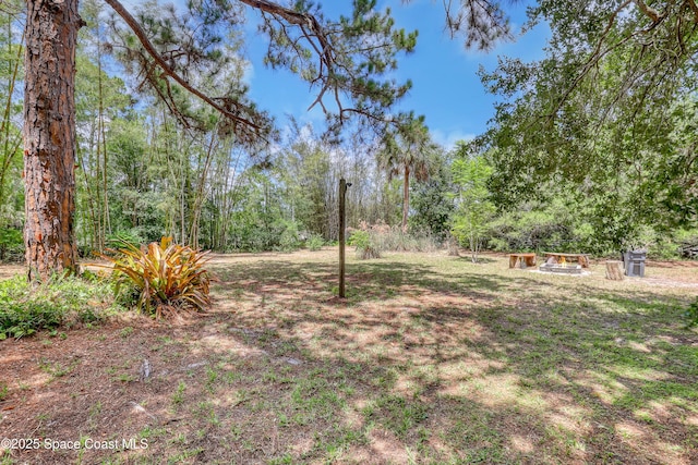 698 Awin Ct SE, Palm Bay, FL 32909 - photo 45