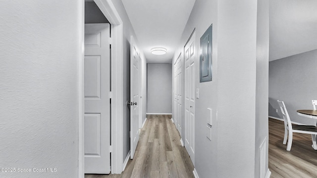 1880 Long Iron Dr Unit 1322, Rockledge, FL 32955 - hall with light wood finished floors, a textured wall, and electric panel