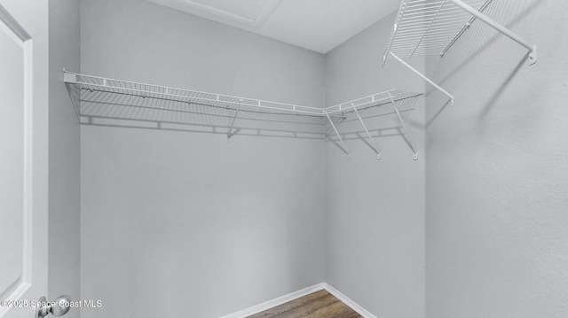 1880 Long Iron Dr Unit 1322, Rockledge, FL 32955 - walk in closet with wood finished floors and attic access