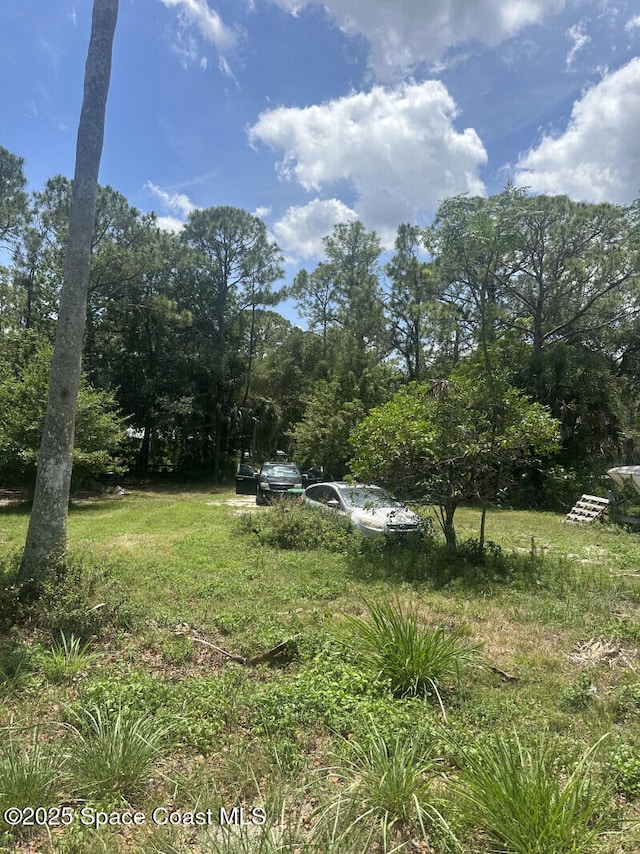 4840 Mango Ave, Cocoa, FL 32926 - view of yard