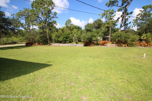1649 Salazar St SE, Palm Bay, FL 32909 - photo 41