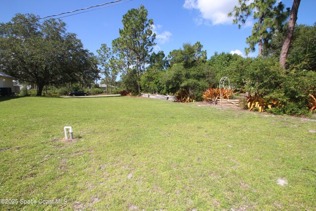 1649 Salazar St SE, Palm Bay, FL 32909 - photo 45