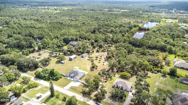 3735 Crista Jean Ave, Grant-Valkaria, FL 32909 - bird's eye view of a large body of water and a forest