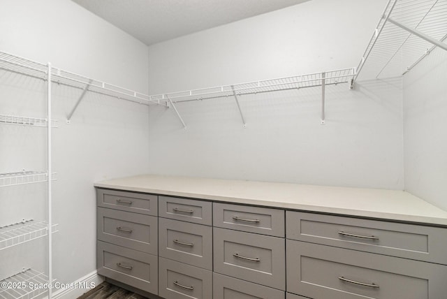 3735 Crista Jean Ave, Grant-Valkaria, FL 32909 - walk in closet featuring dark wood-style floors