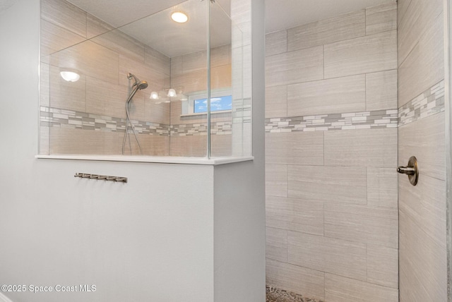 3735 Crista Jean Ave, Grant-Valkaria, FL 32909 - full bath with a walk in shower and recessed lighting