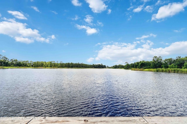1809 Morely Dr, Cocoa, FL 32926 - water view
