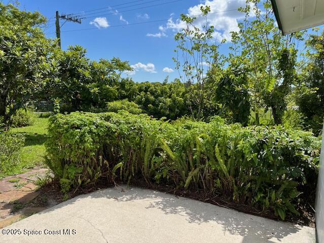 721 Fern Ave, Titusville, FL 32796 - photo 16