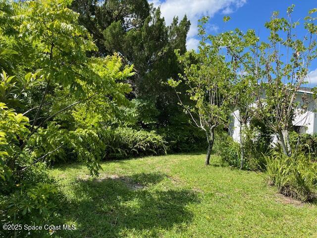 721 Fern Ave, Titusville, FL 32796 - photo 17