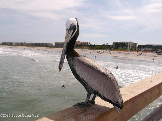 3210 N Harbor City Blvd Unit 316, Melbourne, FL 32935 - water view with local beach