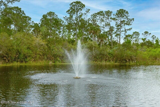 1271 Royal Fern Dr, Melbourne, FL 32940 - photo 52