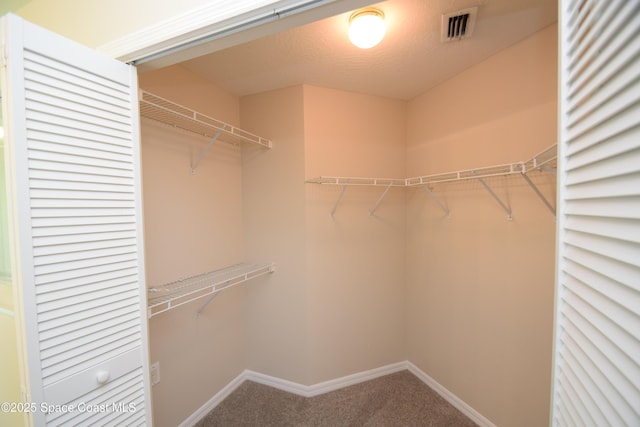 741 Pebble Ave NE, Palm Bay, FL 32907 - walk in closet featuring carpet flooring