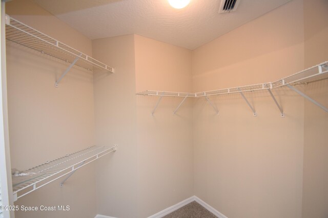 741 Pebble Ave NE, Palm Bay, FL 32907 - walk in closet featuring carpet floors