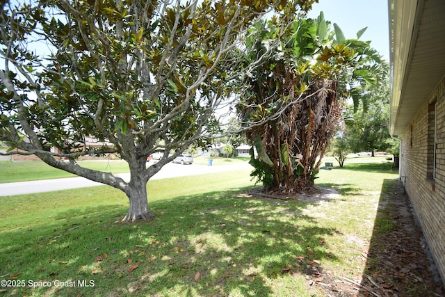 741 Pebble Ave NE, Palm Bay, FL 32907 - view of green lawn