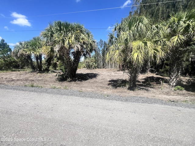 2328 Abaco Ave, Palm Bay, FL 32908 - photo 2