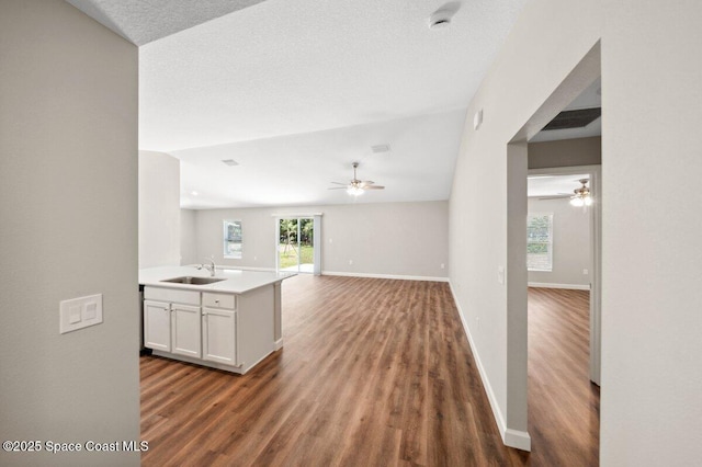 1011 Webster Rd SE, Palm Bay, FL 32909 - kitchen with ceiling fan, wood finished floors, and plenty of natural light