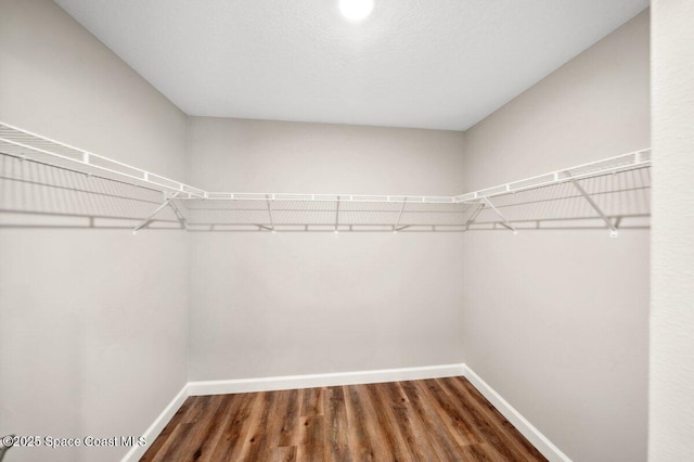 1011 Webster Rd SE, Palm Bay, FL 32909 - spacious closet featuring wood finished floors