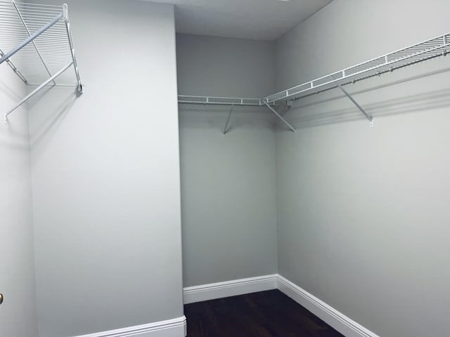 117 Anchorage Ave Unit 6, Cape Canaveral, FL 32920 - spacious closet with dark wood-style flooring