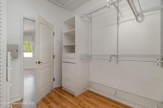 2351 Stonebridge Dr, Rockledge, FL 32955 - walk in closet featuring light wood-type flooring