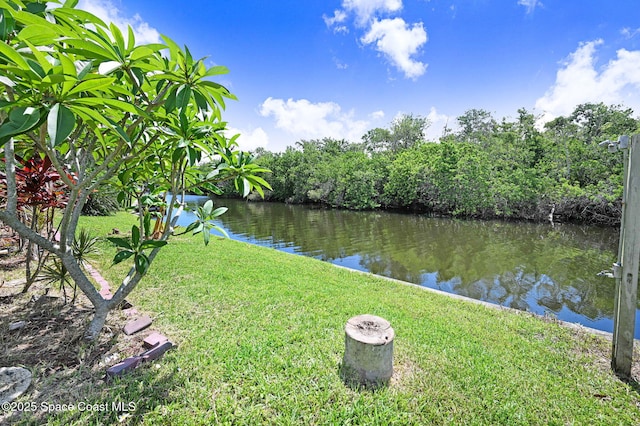 1081 Sunswept Rd NE, Palm Bay, FL 32905 - water view