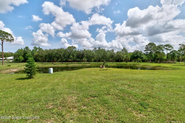 13280 81st St, Fellsmere, FL 32948 - photo 44