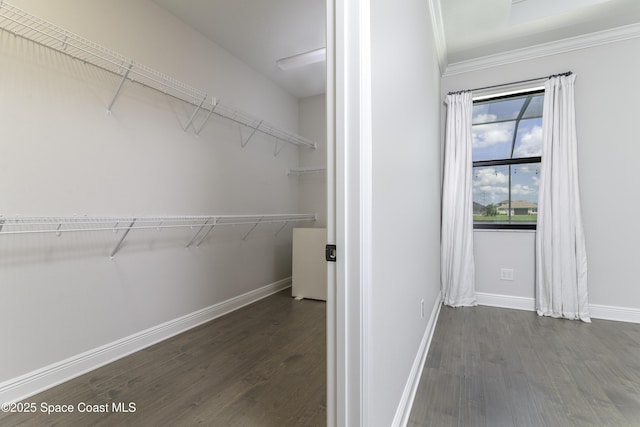 3975 Archdale St, Melbourne, FL 32940 - walk in closet with dark wood-style flooring