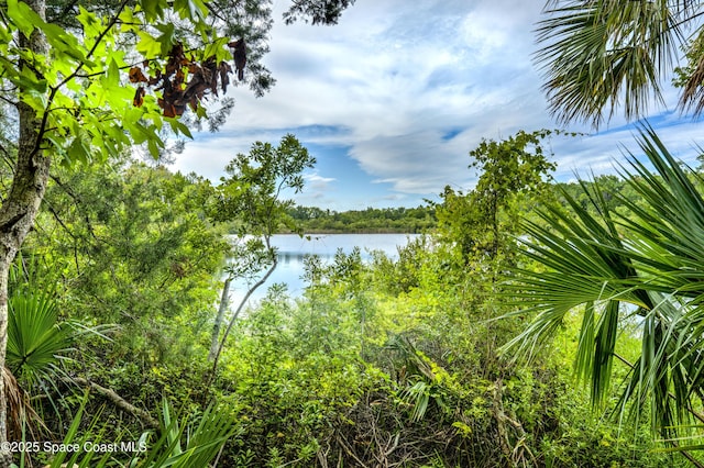686 Hand Ave, Ormond Beach, FL 32174 - photo 22
