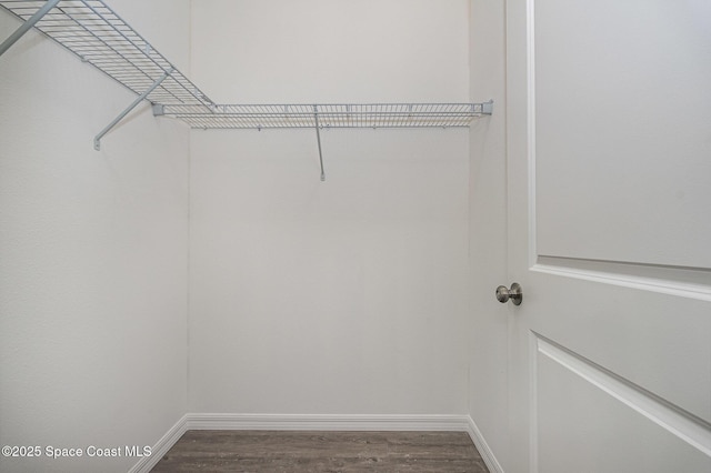 1889 Warton Ave SE, Palm Bay, FL 32909 - walk in closet with dark wood-style flooring