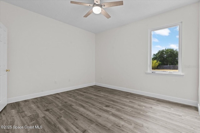 19204 Paddock St, Orlando, FL 32833 - photo 24