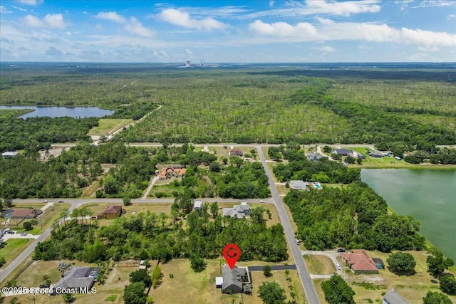 19204 Paddock St, Orlando, FL 32833 - photo 42