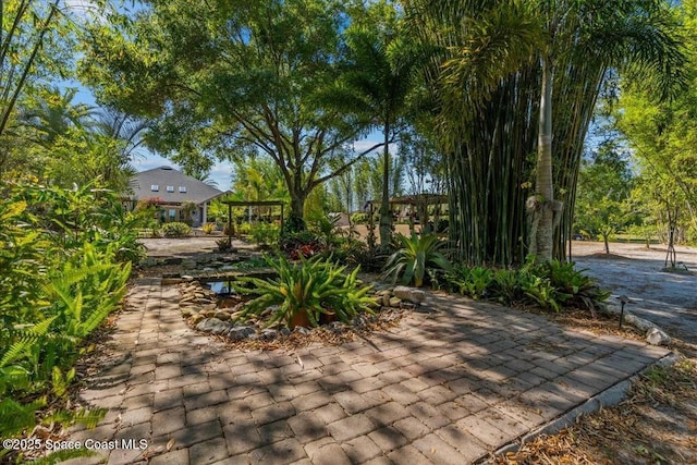 3335 Archer Ave, Orlando, FL 32833 - photo 48