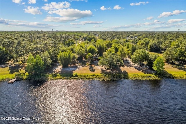 3335 Archer Ave, Orlando, FL 32833 - photo 57