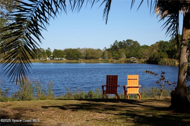 3335 Archer Ave, Orlando, FL 32833 - photo 71
