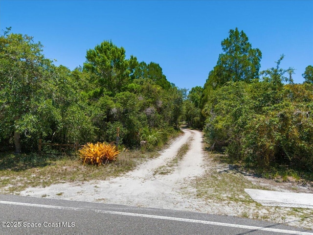 5545 Brabrook Ave, Grant, FL 32949 - photo 40