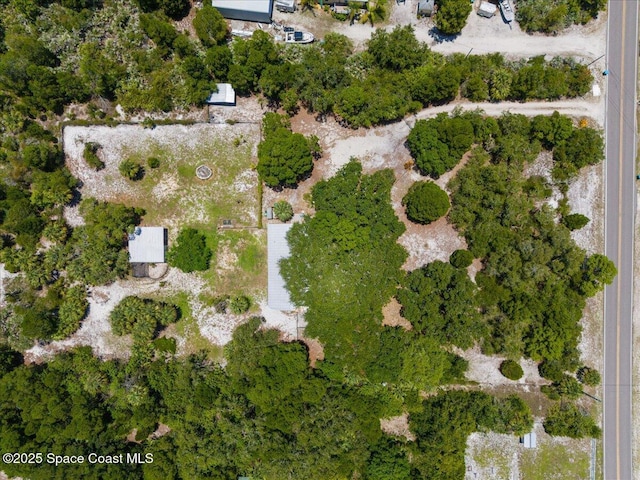5545 Brabrook Ave, Grant, FL 32949 - photo 48