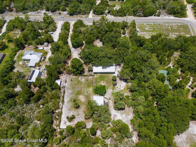 5545 Brabrook Ave, Grant, FL 32949 - photo 49
