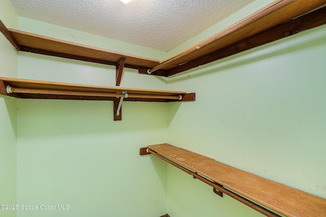 755 Haftez St NE, Palm Bay, FL 32907 - view of spacious closet